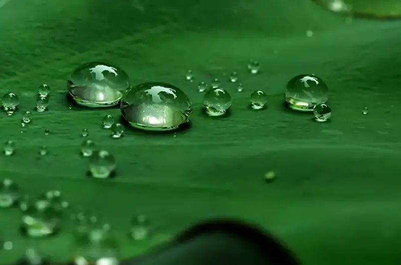Water & Oil Repellent Filter Bags