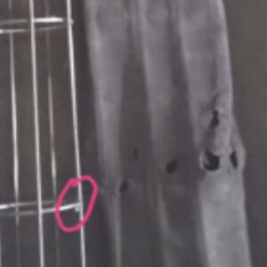 When Should Your Filter Bags Be Replaced? 14 dust filter cage